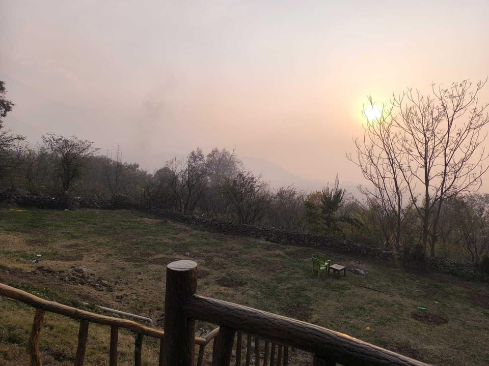 View