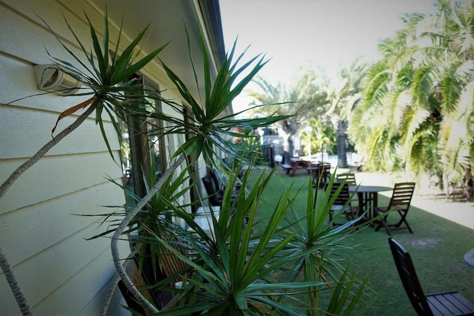 Pacific Palms Motor Inn Motel in Marcoola