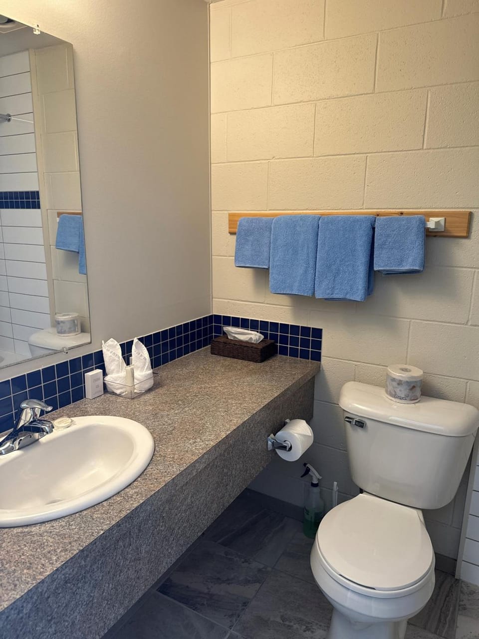Saddle Mountain Lodge Motel in British Columbia