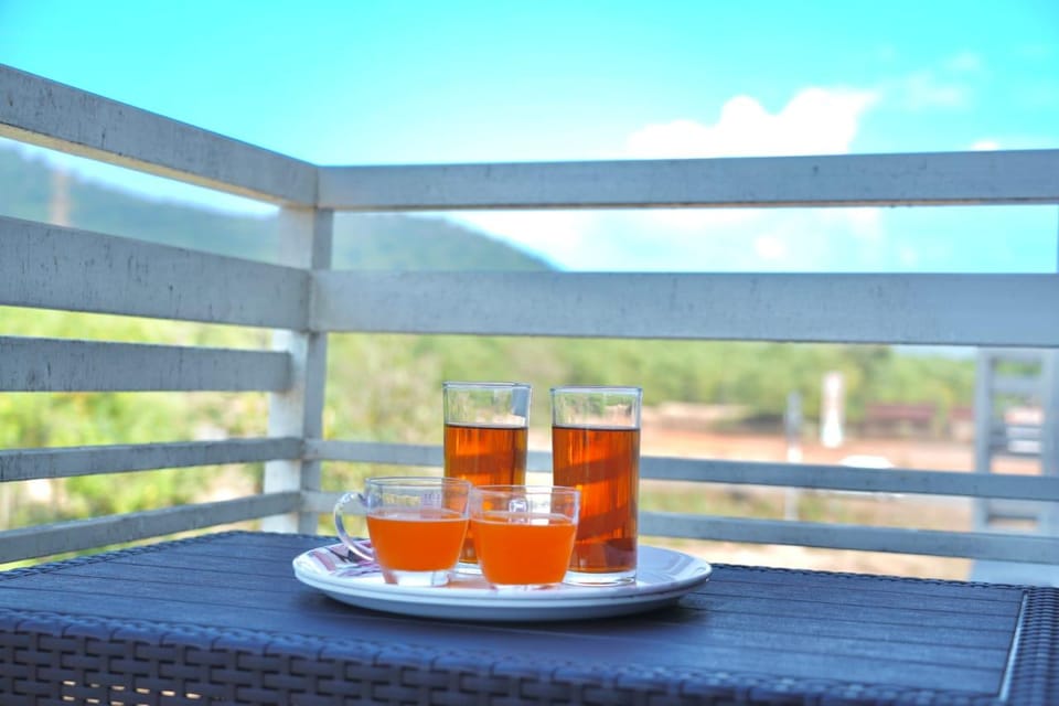 Shrunga Hill View Home Stay Hotel in Karnataka
