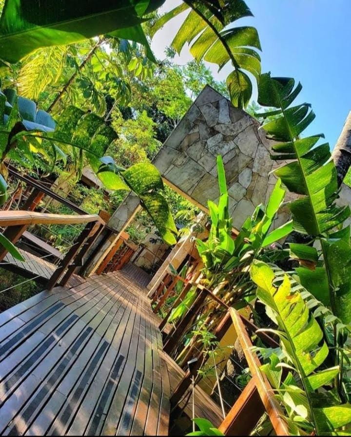 Selva de Laurel Hotel in Puerto Iguazú