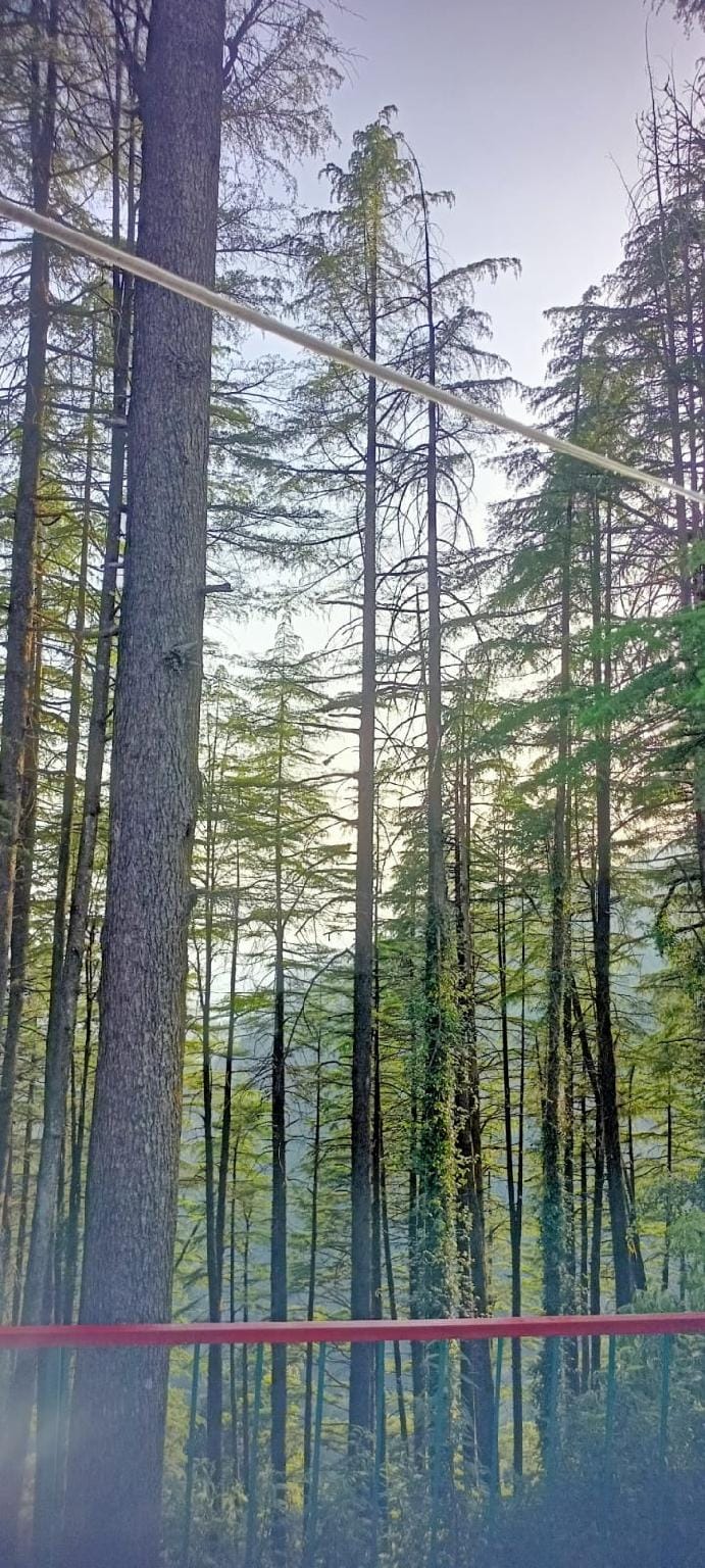 Rock Resort Hotel in Uttarakhand