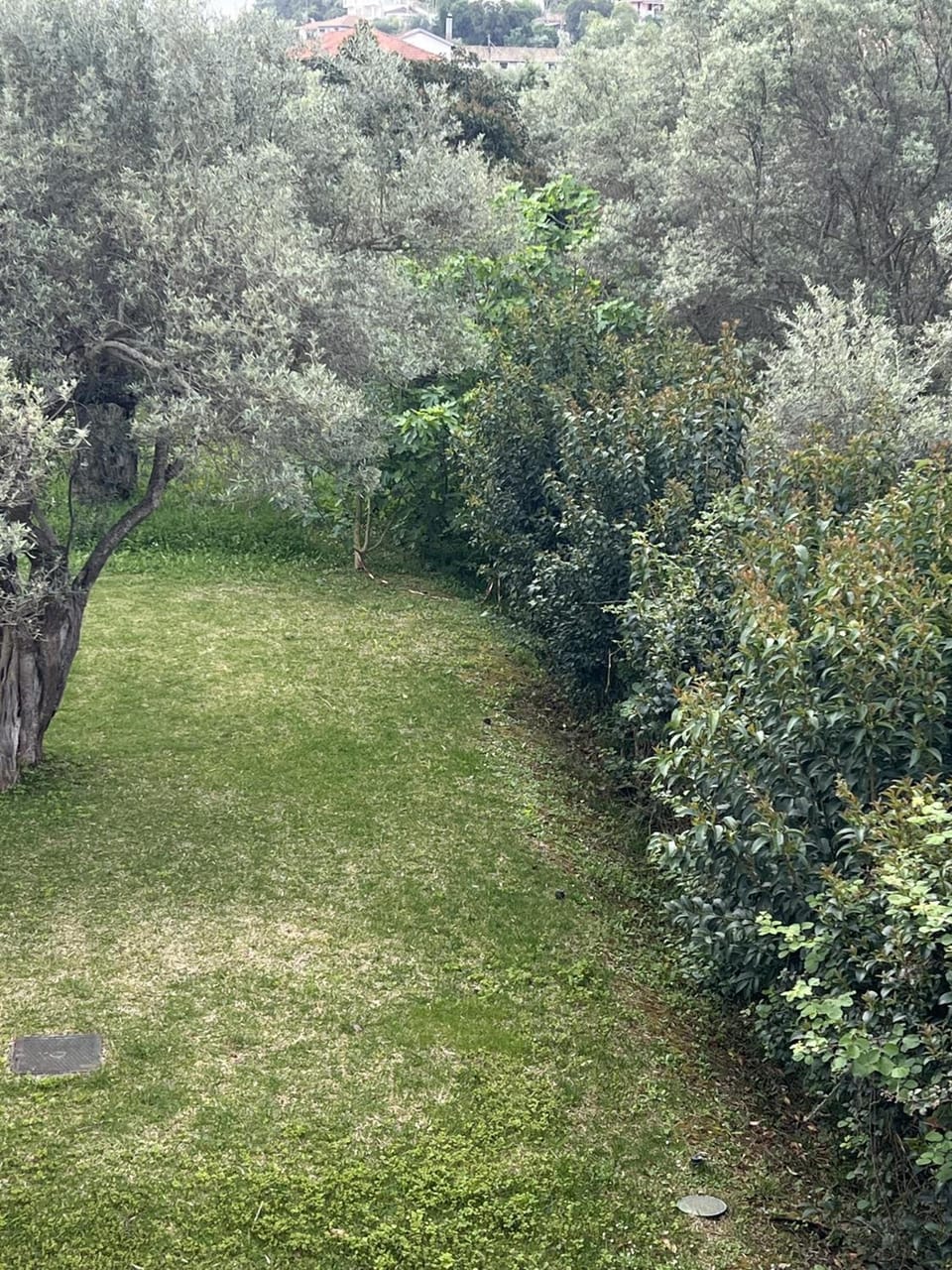Ionian Bay Studios Apartment hotel in Lefkada