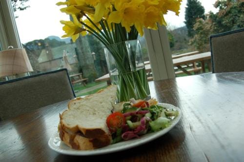 The Boot Inn Inn in Copeland District