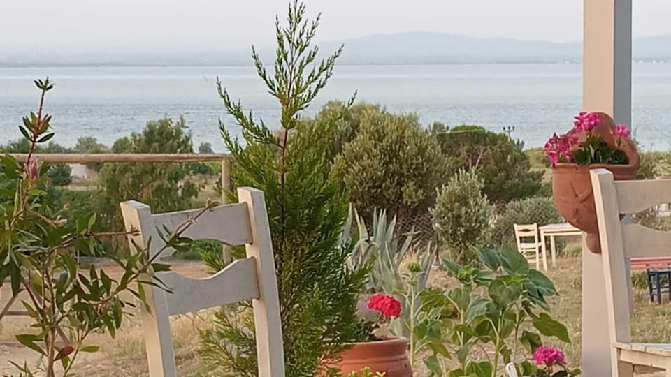 Zeus kır evi Hotel in Turkey