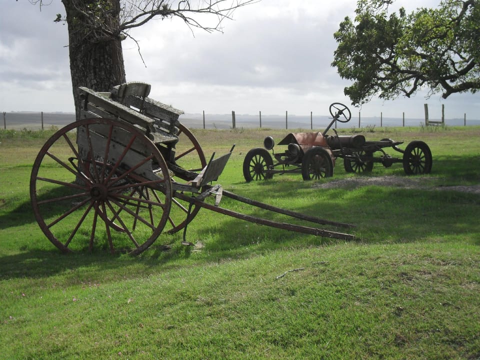 Estancia Los Platanos Hotel in Uruguay