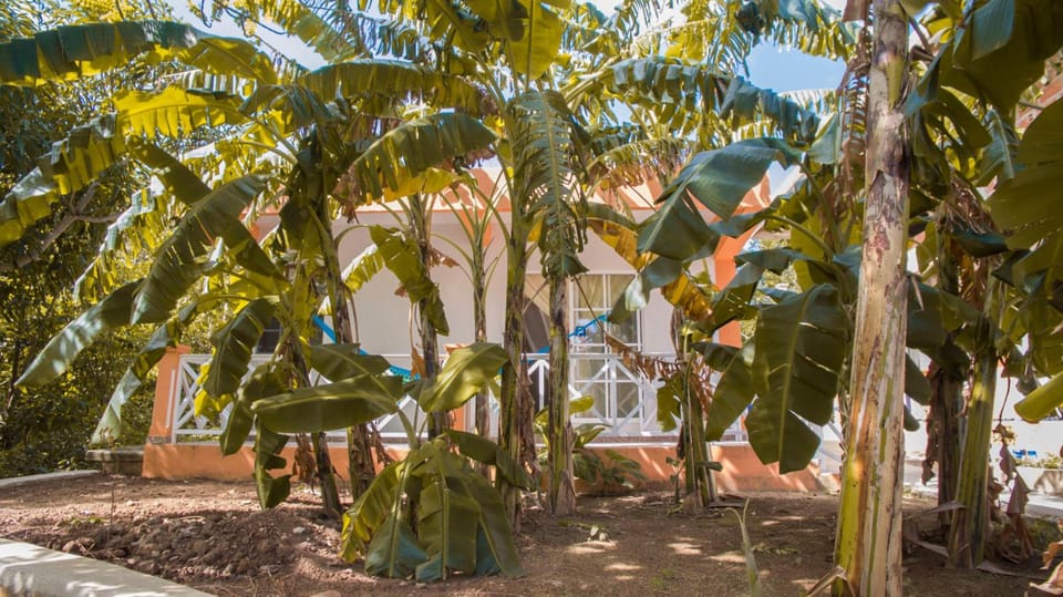Shell Sea B & B Inn in Colombia