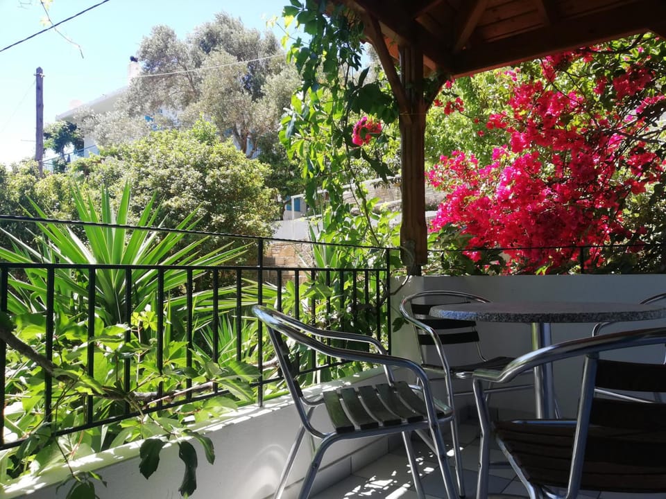 Apartments Jota Hotel in Samos, Greece