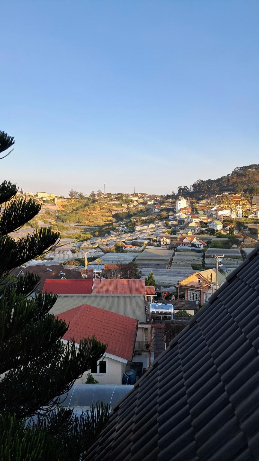 Biet Thu Do Da Lat Hotel in Dalat