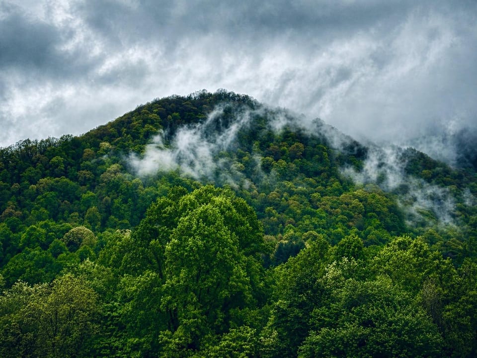 Best Western Mountainbrook Inn Hotel in Maggie Valley
