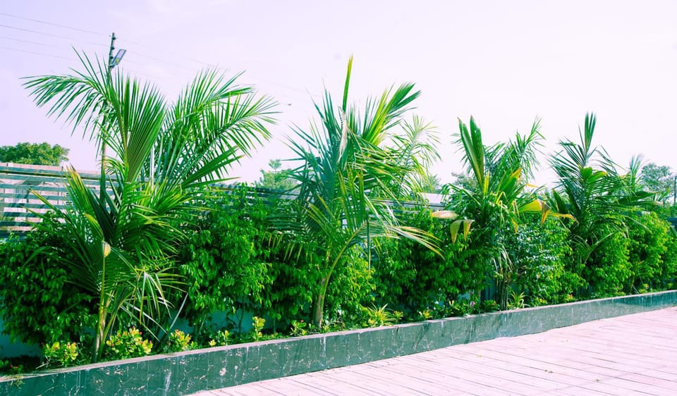 Aureza Paradise Hotel Hotel in Ghana