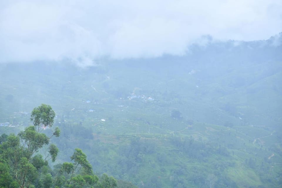 Jyothys Bhavan Homestay Resort in Kerala