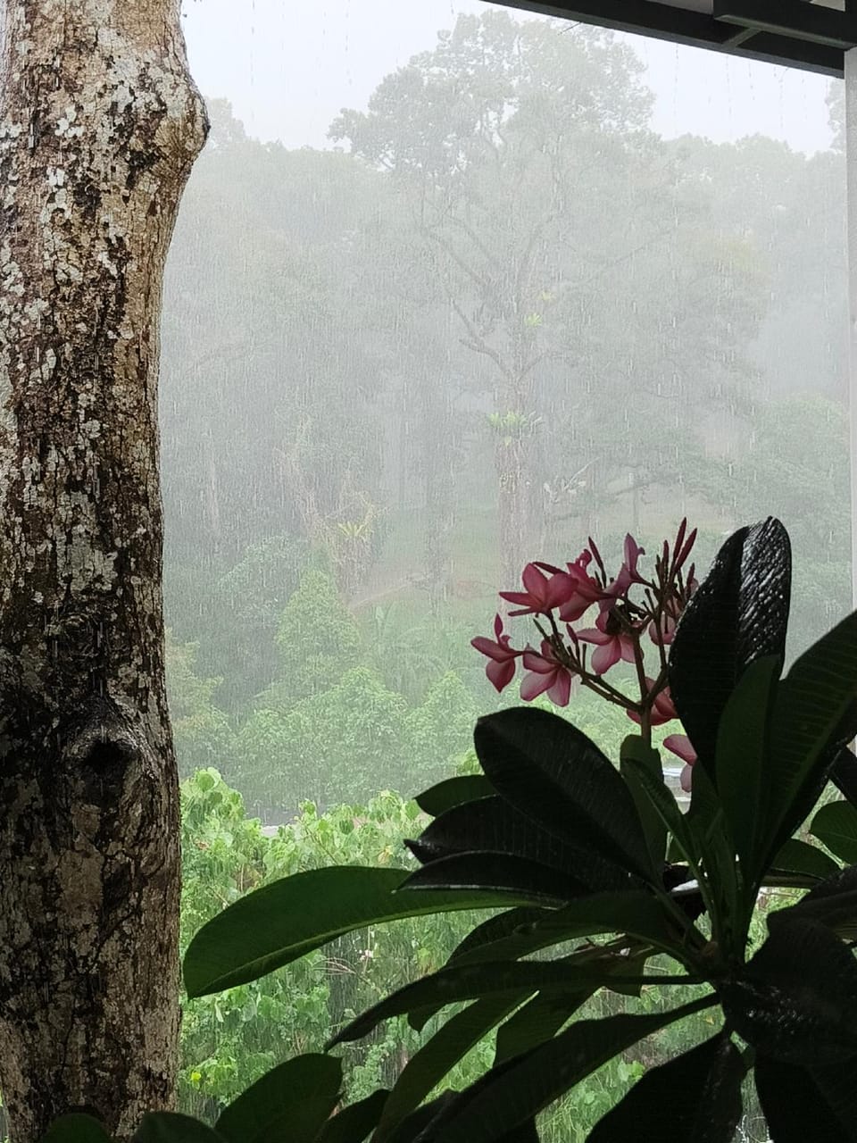19 Farmstay  Hotel in Penang