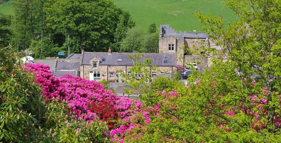 Blenkinsopp Castle Inn Bed and Breakfast in England