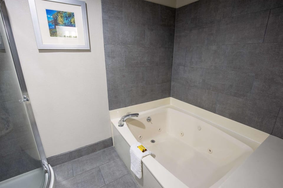Best Western Plus Vermilion River Inn & Suites Hotel in Broussard