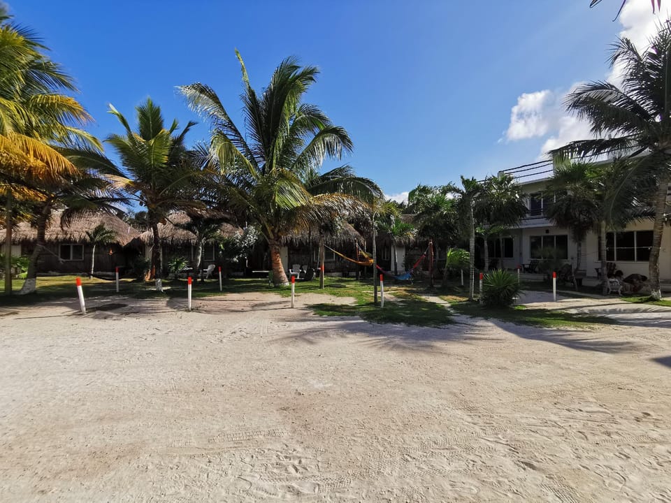 Surrounding environment