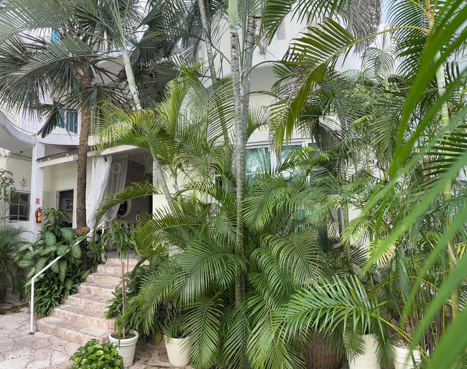 Coco rio Hotel Hotel in Playa del Carmen