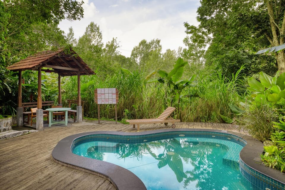 Swimming pool [outdoor]