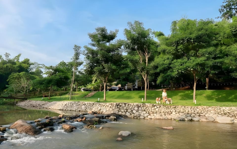 Surrounding environment