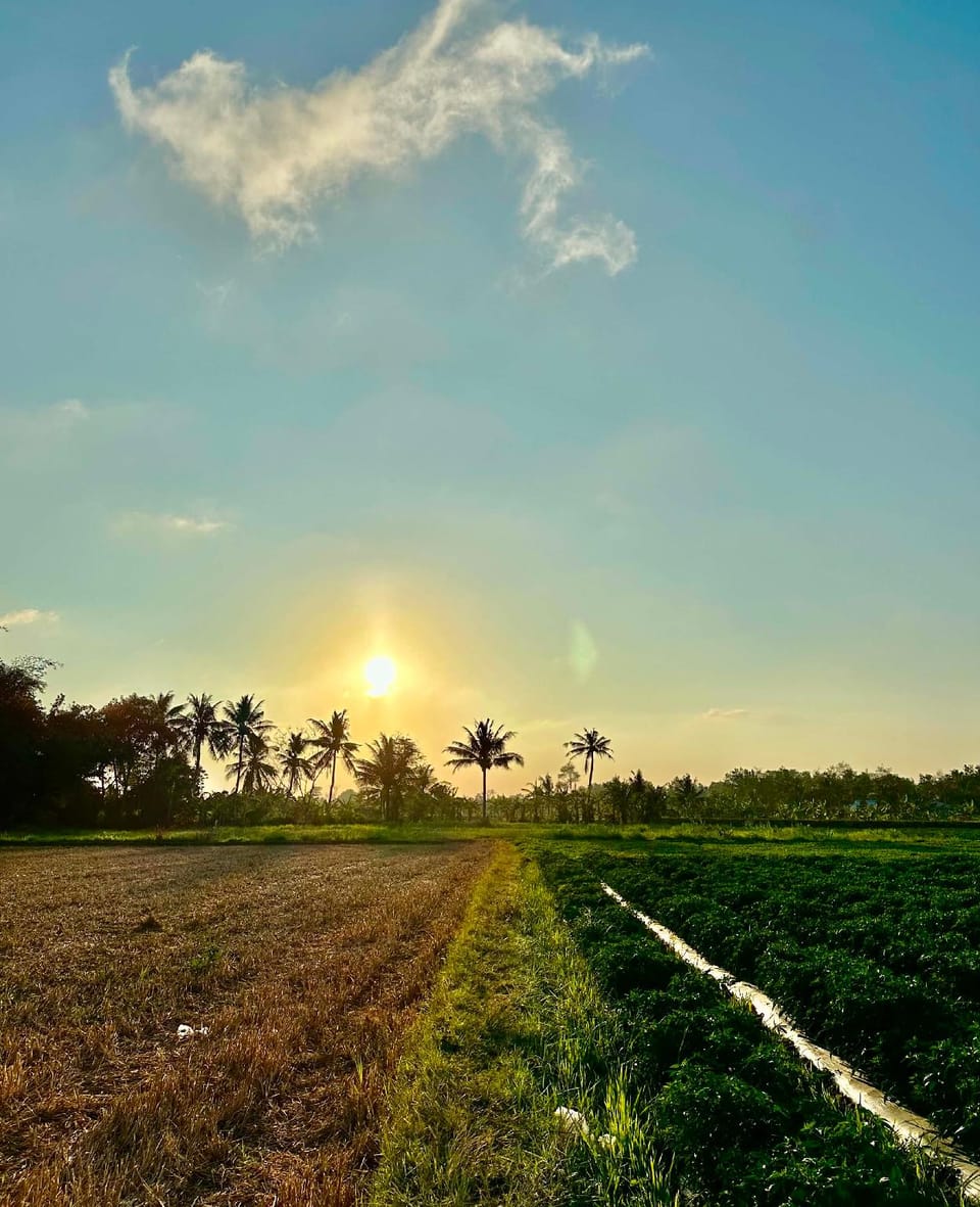 Khách sạn Cầu Dọc Bed and Breakfast in Cambodia