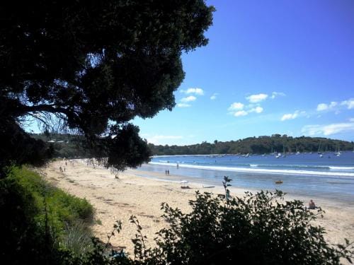 Blue Birds Hotel in Auckland Region