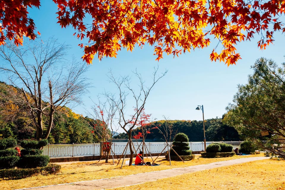 썬글리터  Bed and Breakfast in Busan