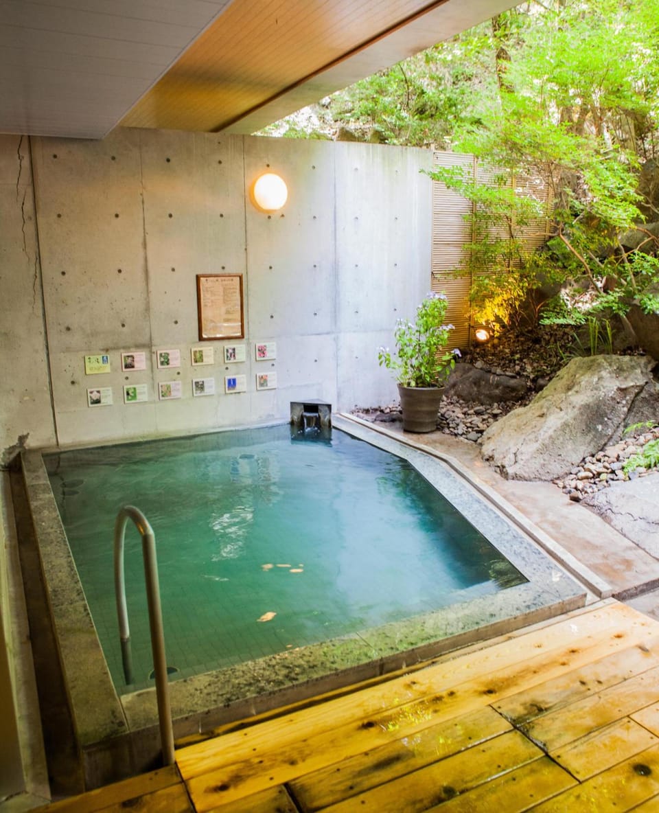 Wan Wan Paradise Yatsugatake  Hotel in Japan