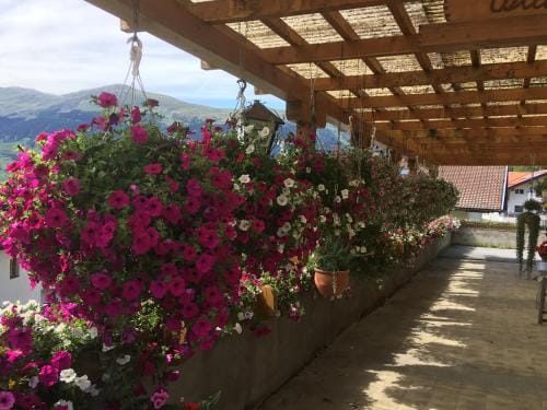 Pension Burgschroffen Hotel in Trentino-South Tyrol