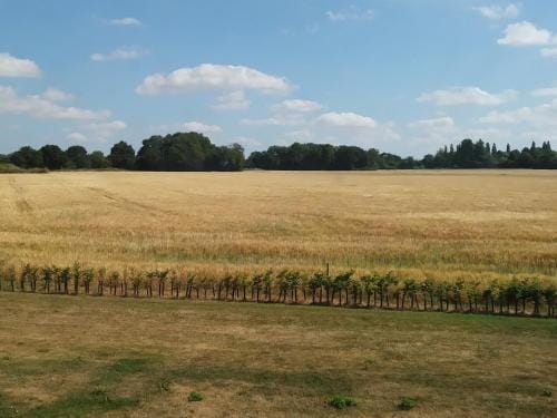 FIELDVIEW FARMHOUSE BED AND BREAKFAST Hotel in Breckland District