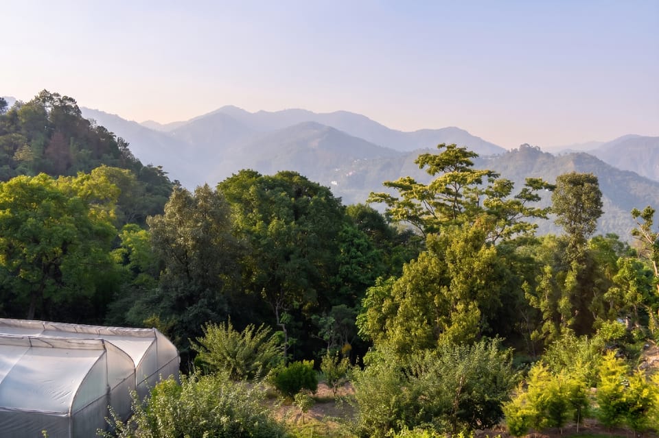 Golden Petal Hotel in Uttarakhand