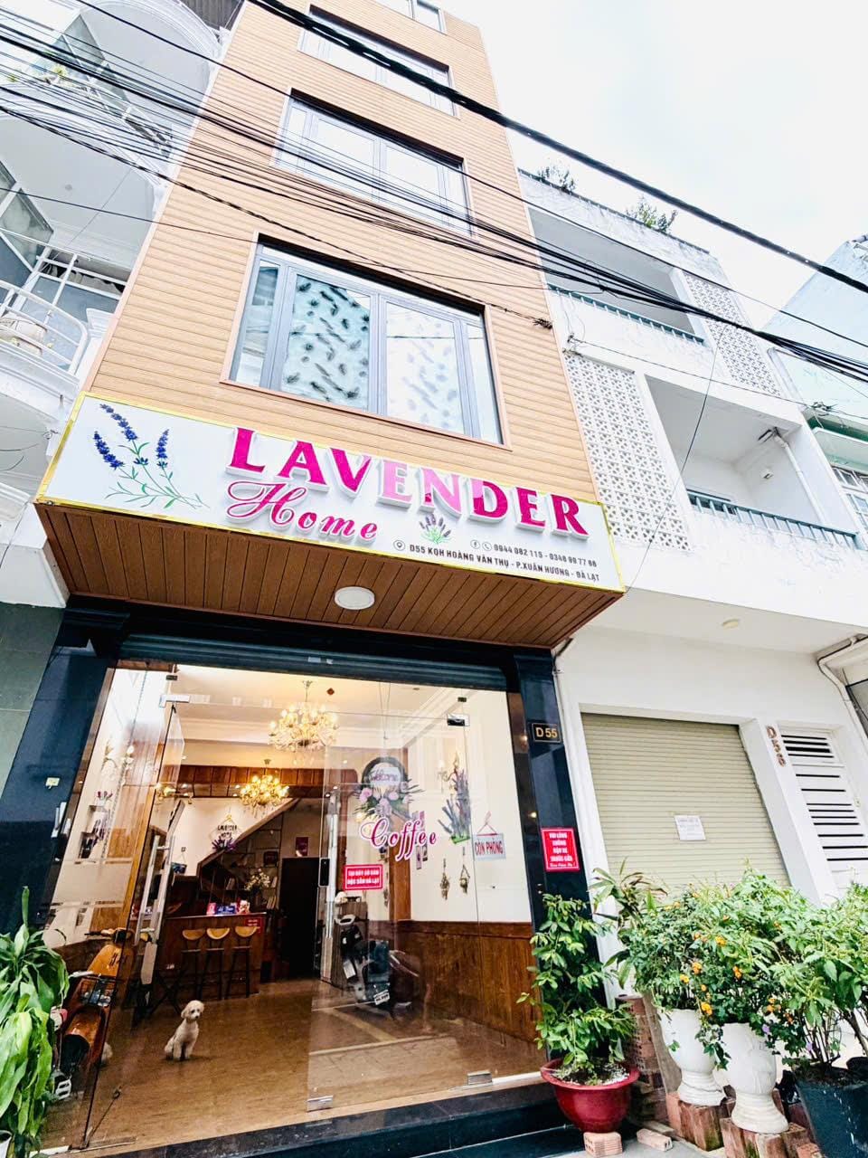 Lavender home Love hotel in Dalat