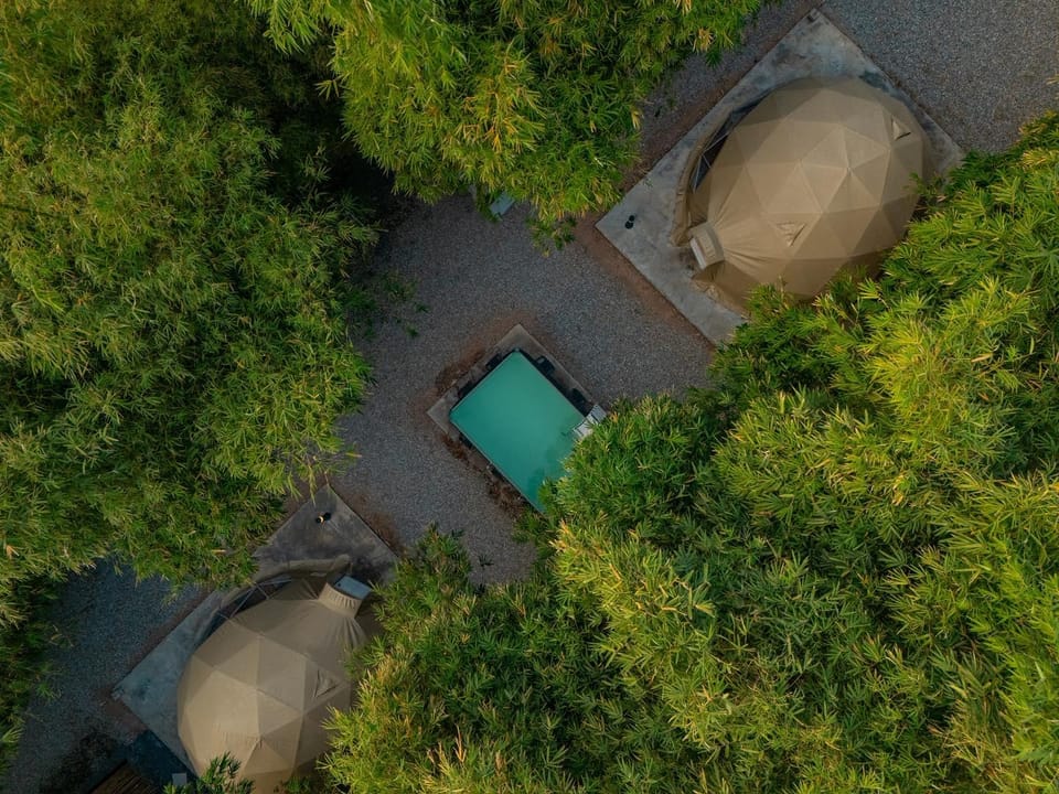Swimming pool [outdoor]