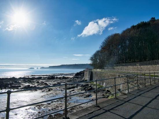 Puffin Lodge - 2 Bedroom Lodge - Wisemans Bridge Hotel in Amroth