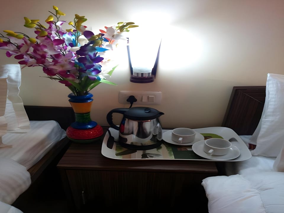 Hotel Luck Residency Hotel in New Delhi