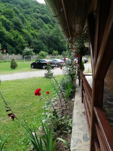 PENSIUNEA LA BUSU -BIGAR Hotel in Serbia