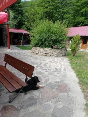PENSIUNEA LA BUSU -BIGAR Hotel in Serbia