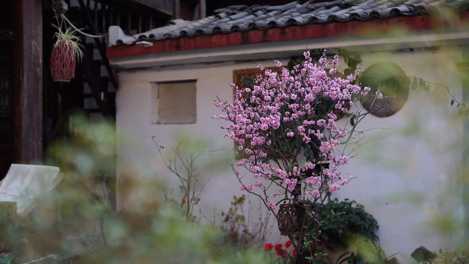 Tuo Tuo Guest House Inn in China