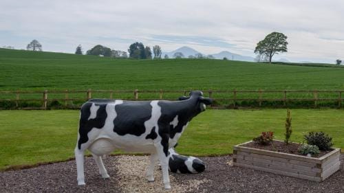 Creeghduff Lodge Hotel in Northern Ireland