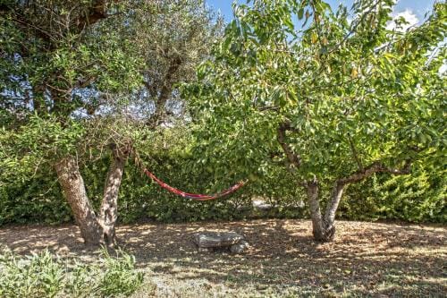 B&B Il Brigante Hotel in Province of Taranto