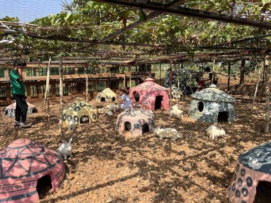 Eagle View Farm & Lake Retreat Hotel in Africa