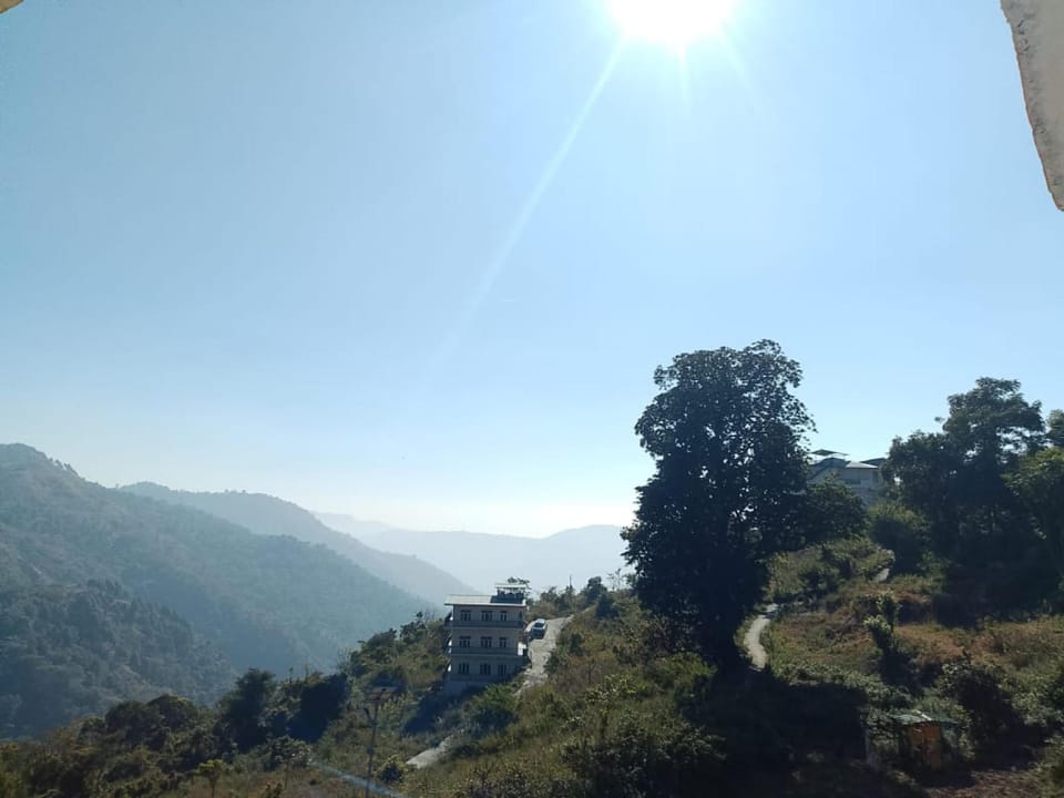 View