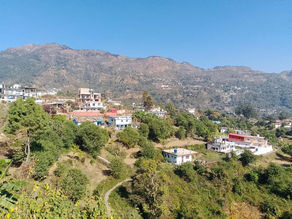 View