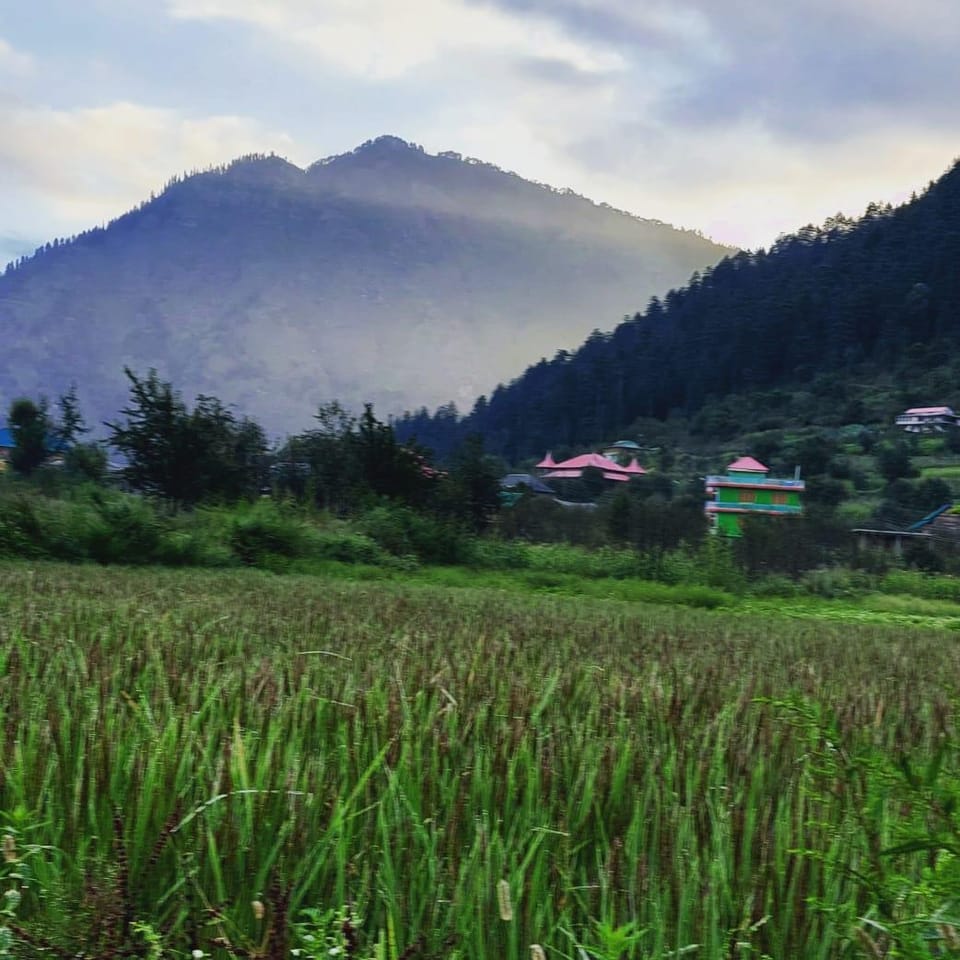 Deohari Valley Homestay  Hotel in Himachal Pradesh