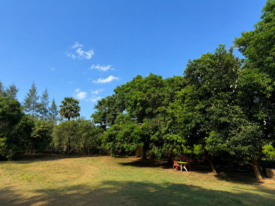 Avora Auroville Hotel in Tamil Nadu