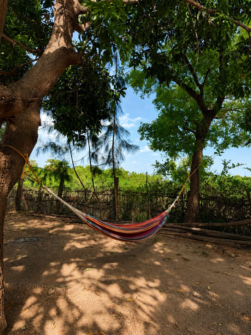 Avora Auroville Hotel in Tamil Nadu