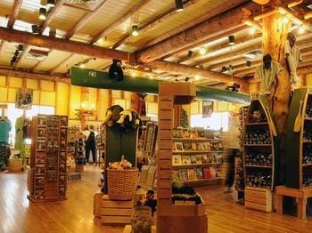 Lake Lodge Cabins Hotel in Yellowstone National Park