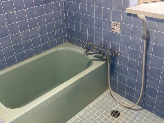 Guesthouse Riad Camellia Hotel in Japan