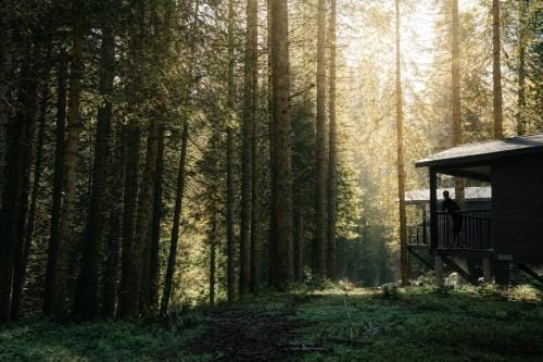 Waybound Yosemite Hotel in Fish Camp