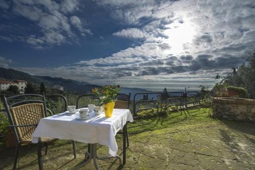 B&B Il Trebbio Hotel in Emilia-Romagna