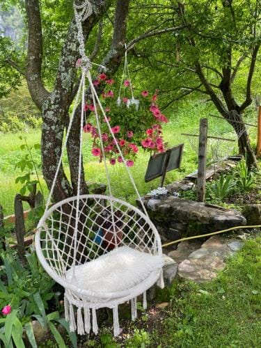 Guesthouse Bec Villi Hotel in Montenegro